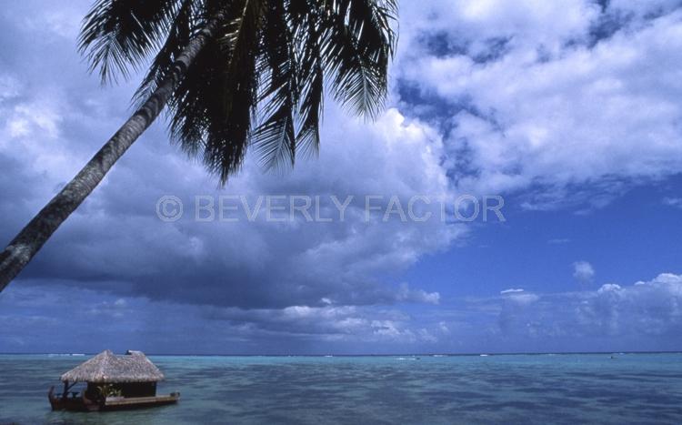 Islands;huts;ocean;palm trees;blue;water;sky;manihi;french polynesia;clouds